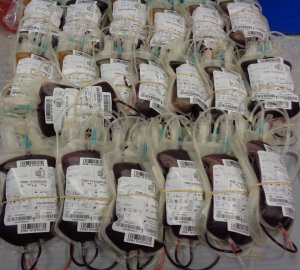 Zebrana krew w akcji akcji honorowego oddawania krwi i rejestracji dawców szpiku w Komendzie Miejskiej Policji w Gorzowie Wlkp.