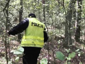 policjant na poszukiwaniach w lesie